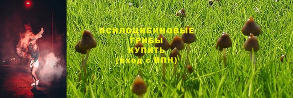 соль ск Белокуриха