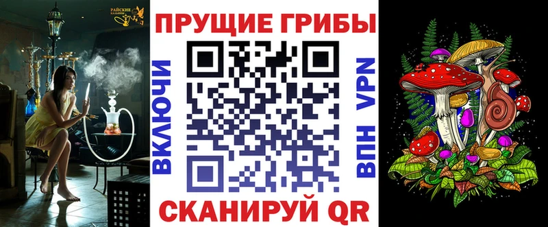Псилоцибиновые грибы Psilocybine cubensis  Купить где  Краснотурьинск 